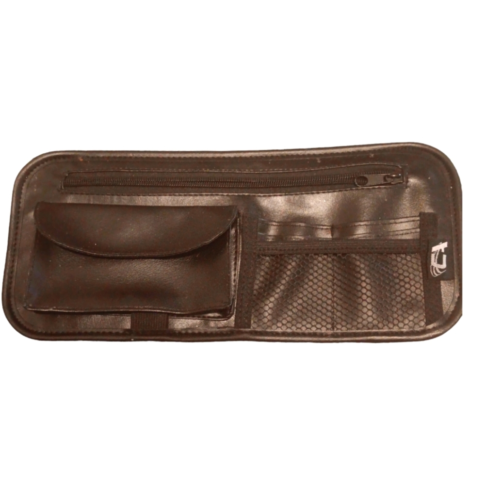 Visor organizer